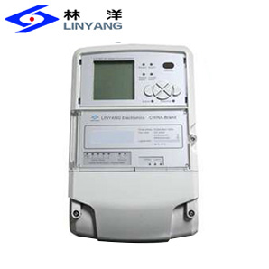 江苏林洋海外版集中器