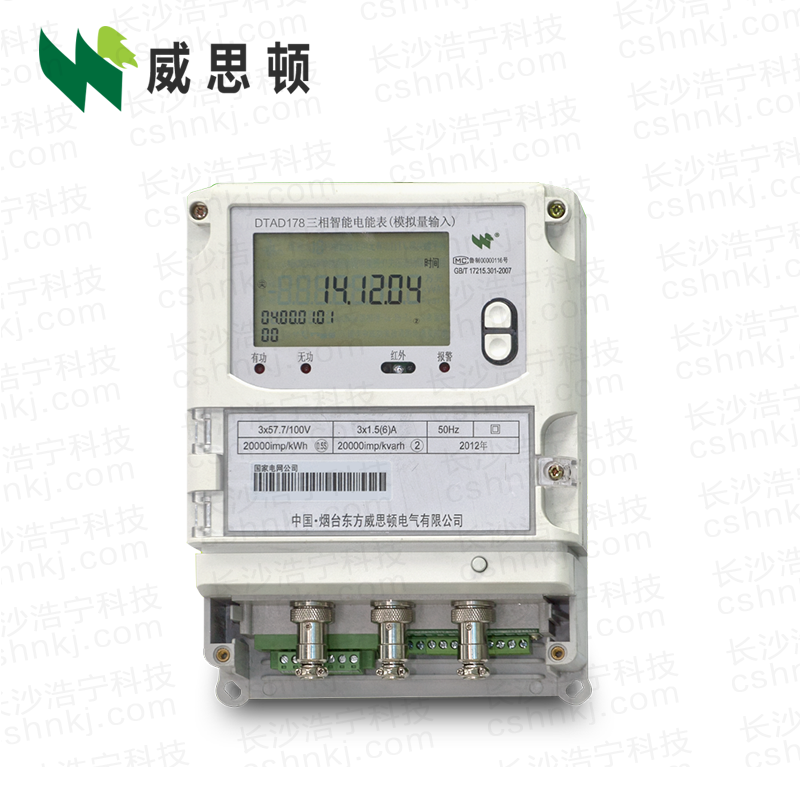 烟台威思顿DTAD178数字化多功能电能表（模拟小信号输入）