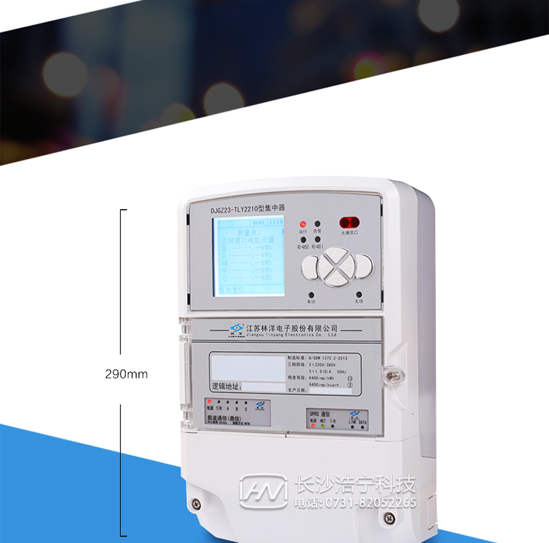 林洋DJGZ33-TLY2210集中器主图