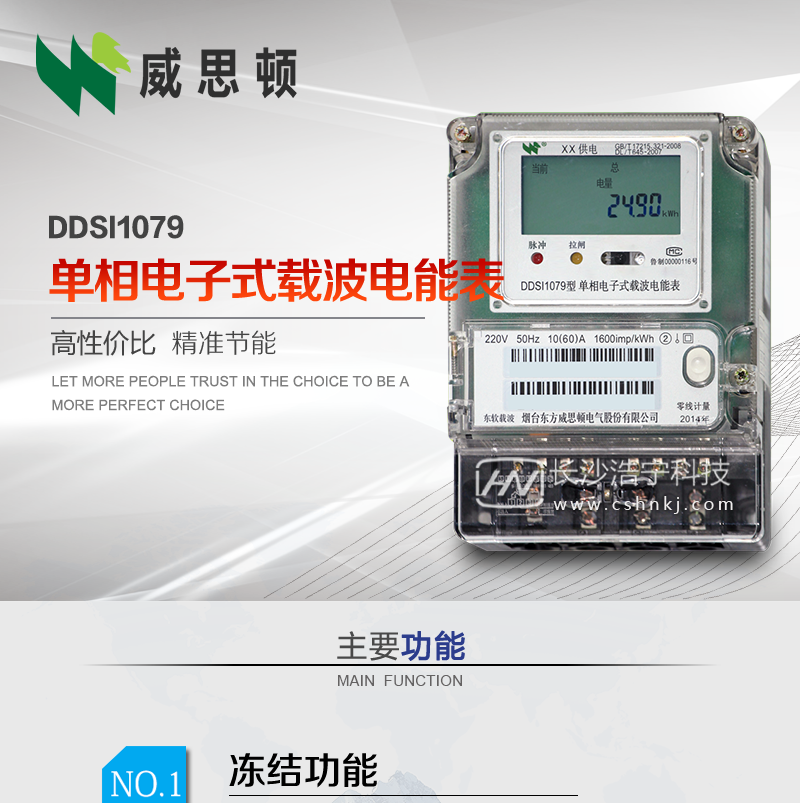 烟台威思顿DDSI1079 单相电子式载波电能表