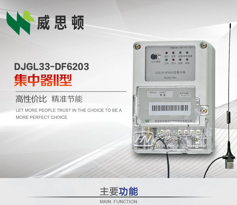 烟台威思顿DJGL33-DF6203型集中器