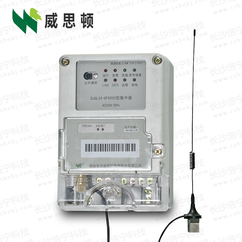 烟台威思顿DJGL33-DF6203型集中器