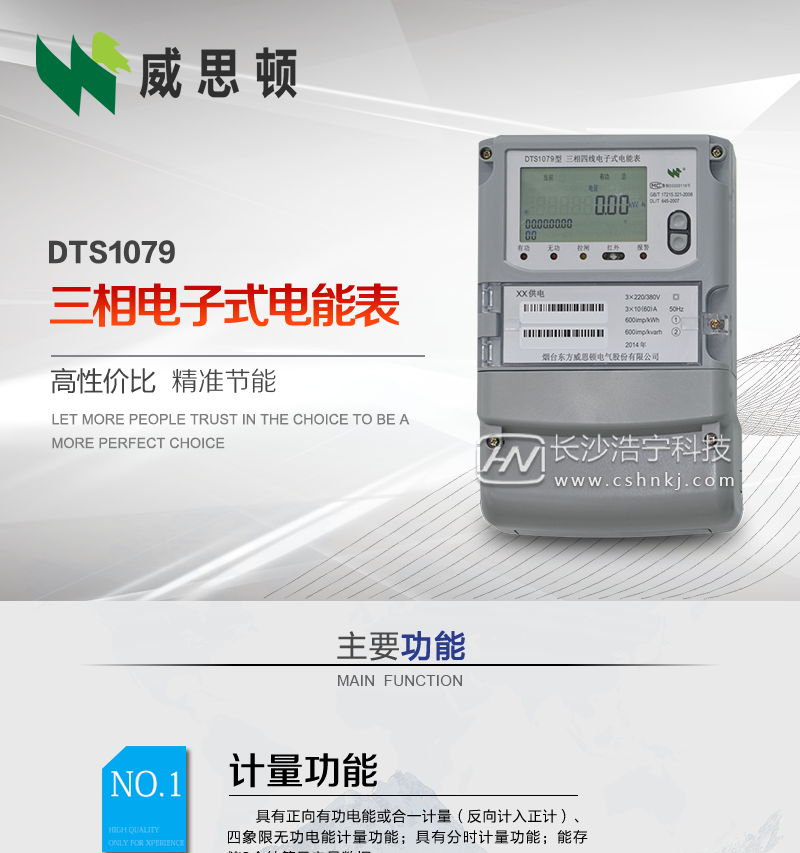 烟台威思顿DTS1079三相电子式电能表（南网）