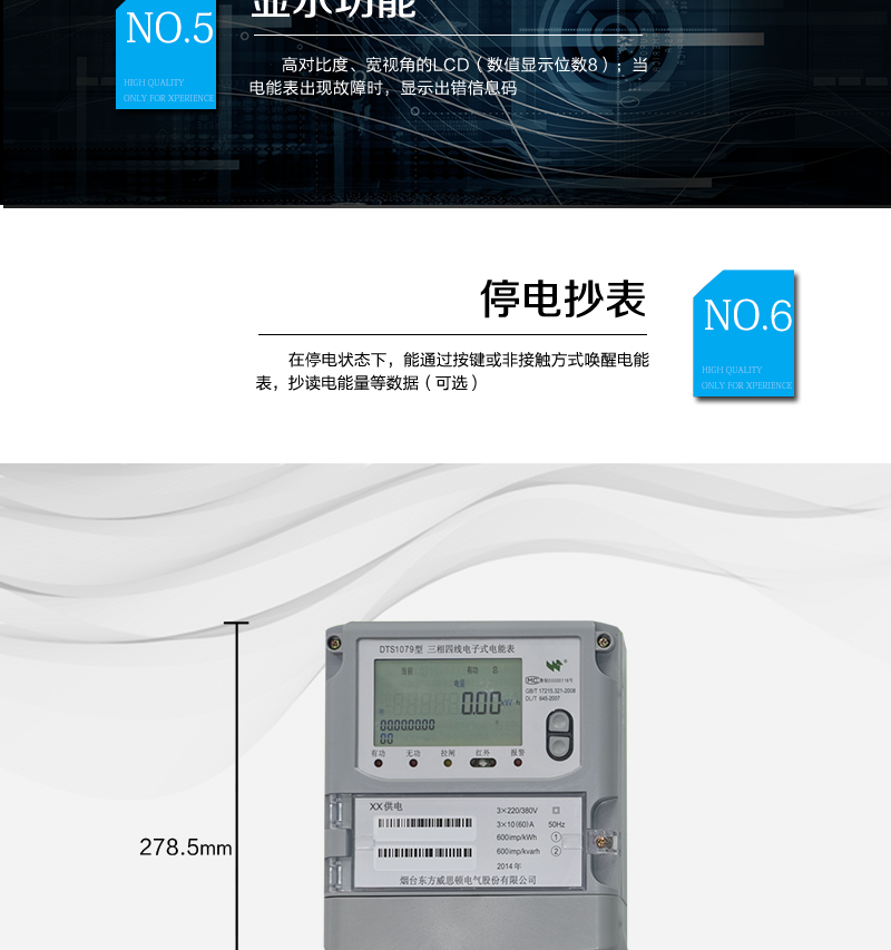 烟台威思顿DTS1079三相电子式电能表（南网）