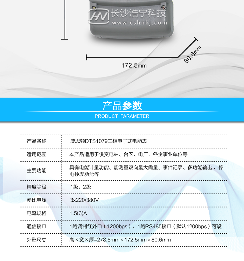 烟台威思顿DTS1079三相电子式电能表（南网）