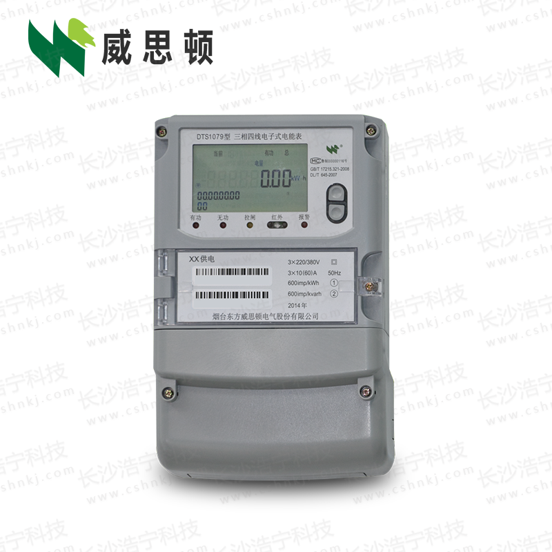 烟台威思顿DTS1079三相电子式电能表（南网）