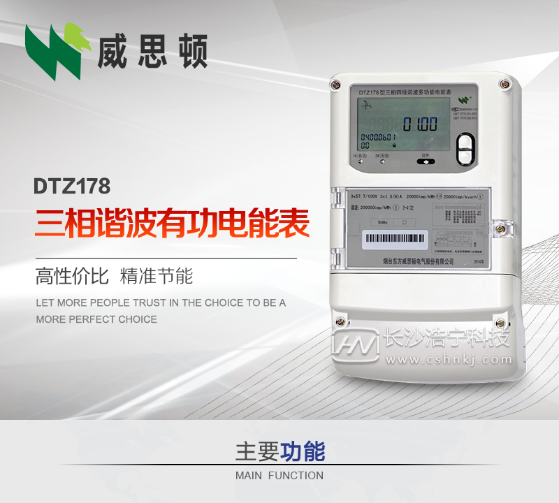 烟台威思顿DTZ178三相四线智能电能表