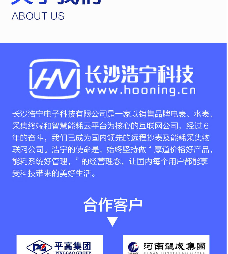 长沙威胜DHZ333三相智能电能表