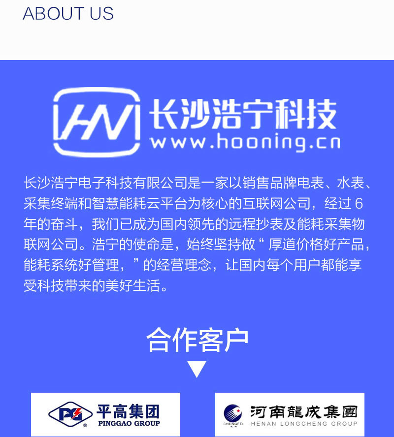 长沙威胜DSSD331-9Z三相三线抗冲击负荷专用电能表