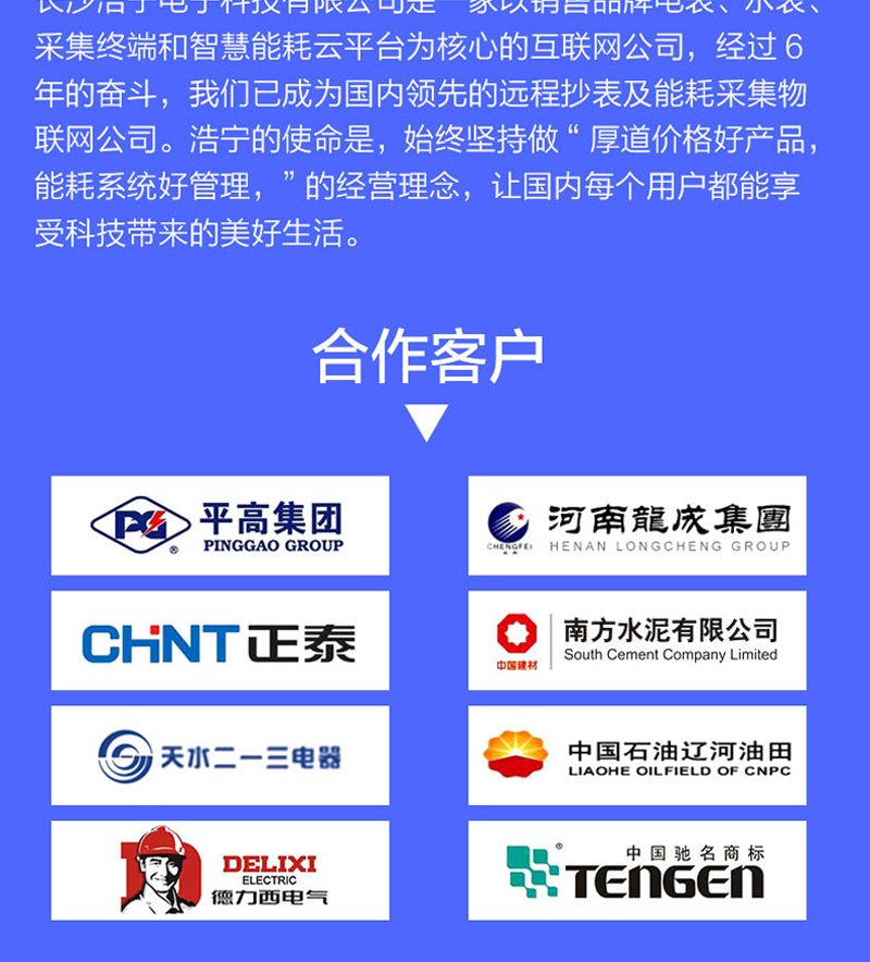 杭州炬华DTZY1296-Z型三相四线费控智能电能表（载波/远程/开关内置、外置