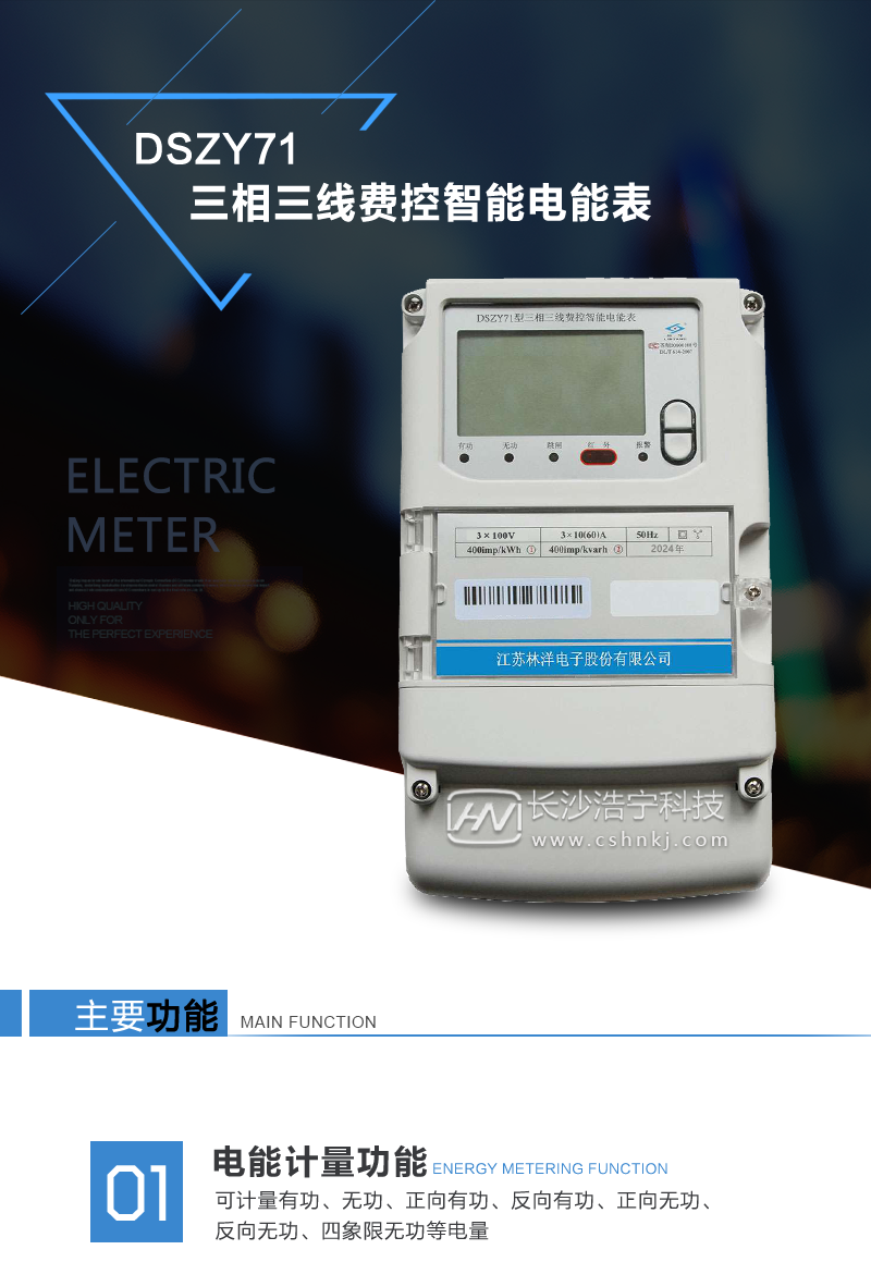 江苏林洋DSZY71