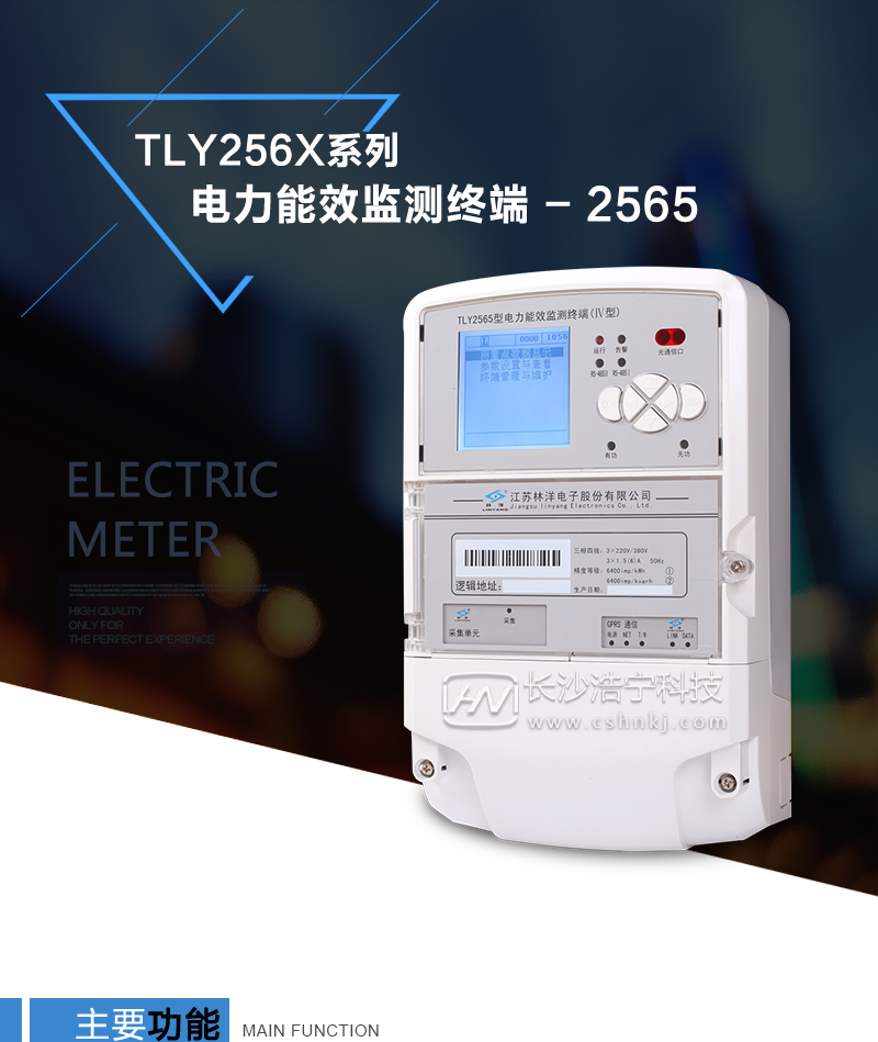 江苏林洋TLY256X系列电力能效监测终端-2565